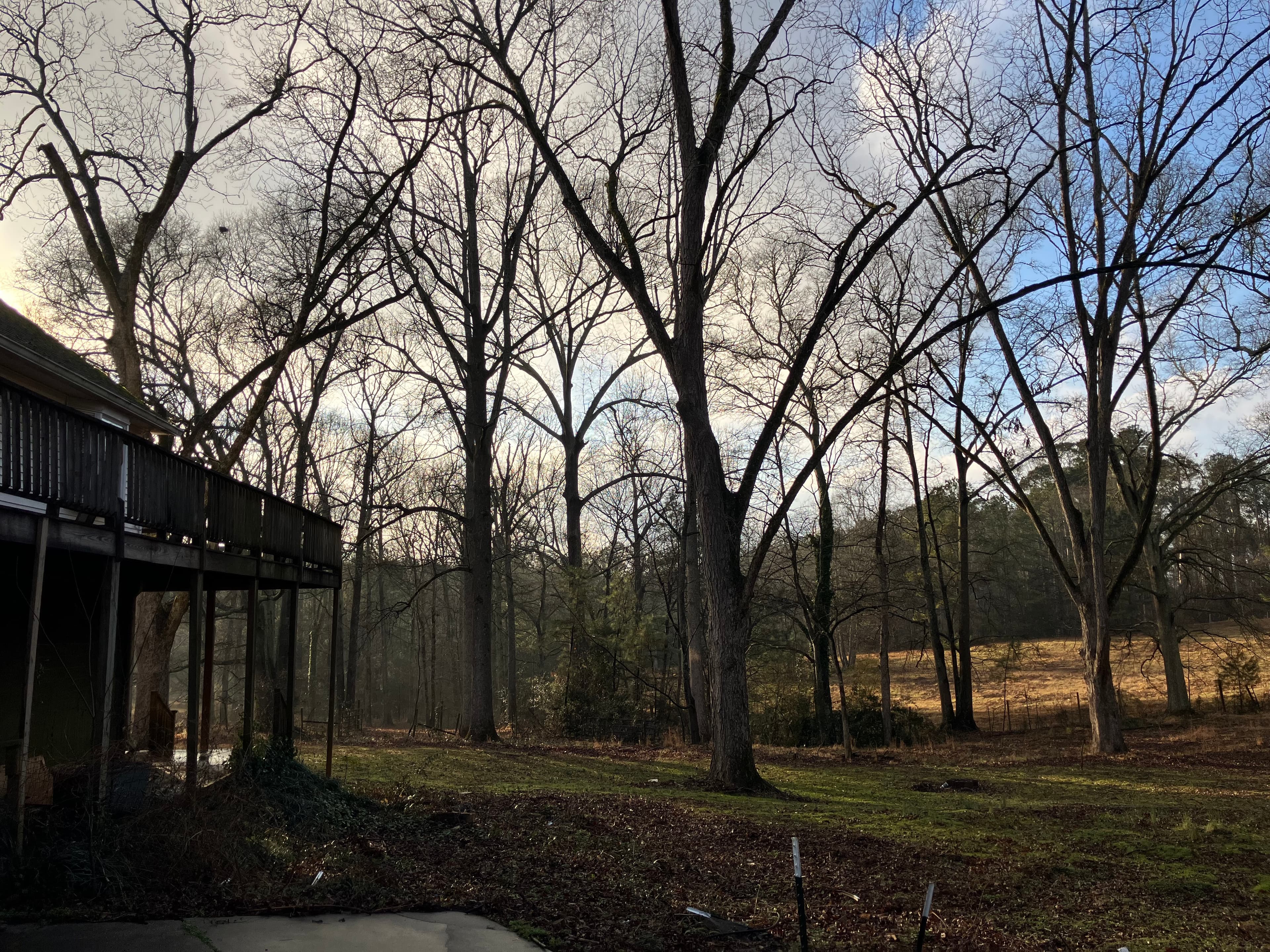 Lone Goose Farm property