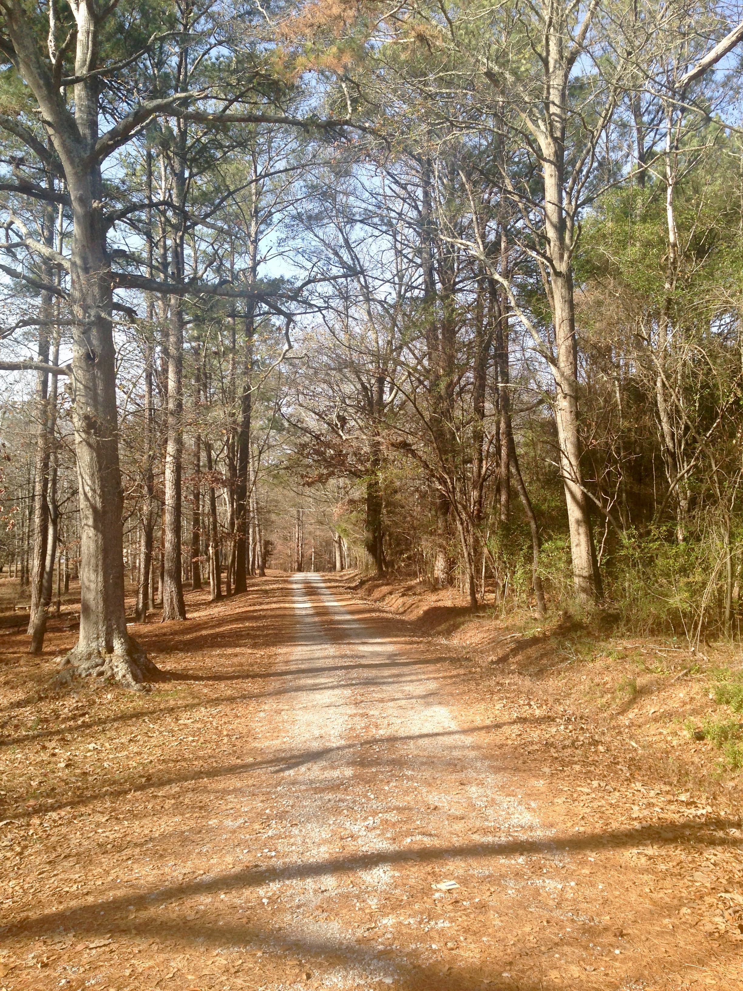The road into Lone Goose Farm